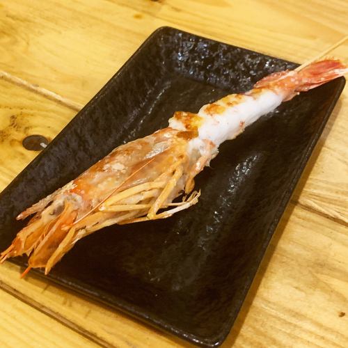 Red shrimp