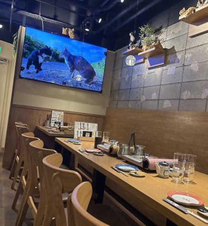 我们还接受 16 至 19 人的聚会的主楼层的预订,您可以在大屏幕上观看猫咪视频。