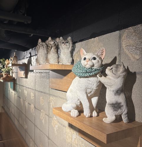 猫屋的猫咪们!店内简直就是猫咪的天堂♪