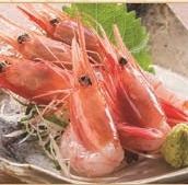 red shrimp sashimi