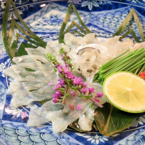 山口県地魚　下関とらふぐ薄造り