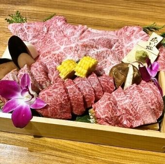 【2名様~】初めての方にオススメ!当店定番の商品炙りユッケや焼肉5種など全10品◎5000円(税込)
