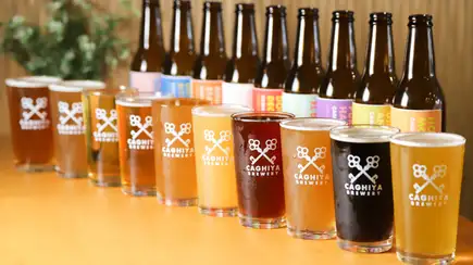 【超過10種！ 60分鐘暢飲我們自家精釀啤酒♪】派對前小食套餐 4500日圓（含稅）