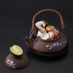 Earthenware pot