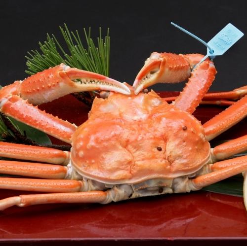 北陸の旬の味覚をご堪能♪