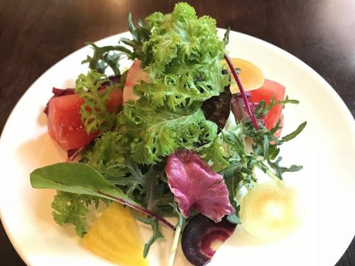 Green salad of Miura's local vegetables