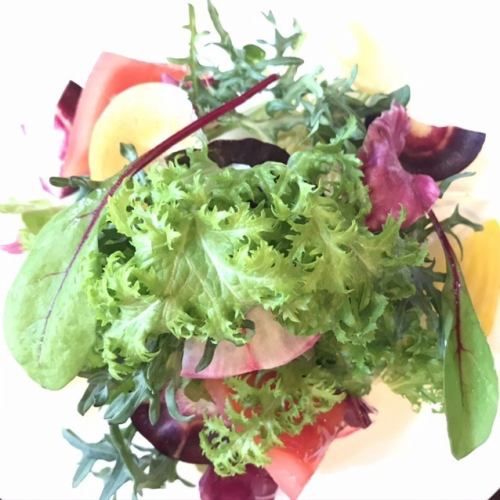 三浦當地蔬菜的綠色沙拉