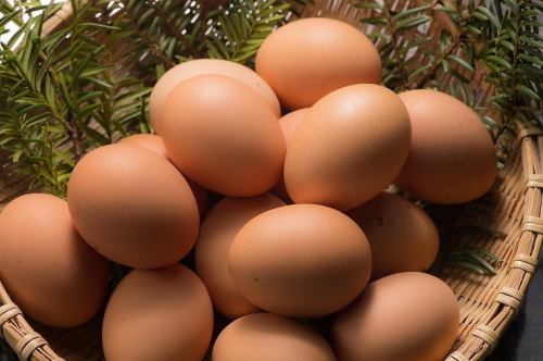 계란은 구마모토 현의 미나미 아소보다 도착하는 유정 계란을 사용하고 있습니다