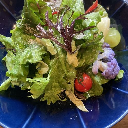 Green salad made with Hazawa vegetables and pesticide-free vegetables from Sagamihara