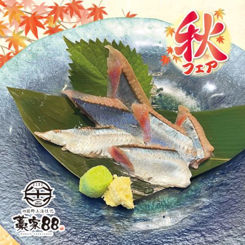 秋刀鱼刺身