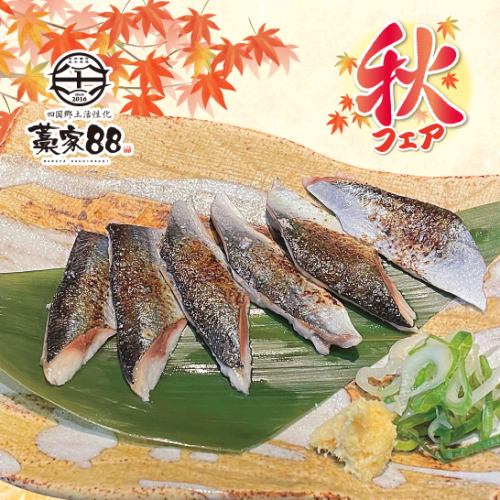烤盐秋刀鱼刺身