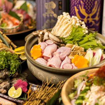 <For parties and entertaining> Matured chicken hotpot with flying fish stock - 9 dishes in total, 2 hours of all-you-can-drink included, 5,000 yen