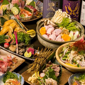 <For parties and entertaining> Matured chicken hotpot with flying fish stock course, 11 dishes in total, 3 hours all-you-can-drink, 7,000 yen