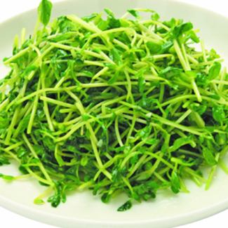 Stir-fried bean seedlings