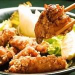 아리타 닭 허벅지 살 튀김«사가 현산 직송»