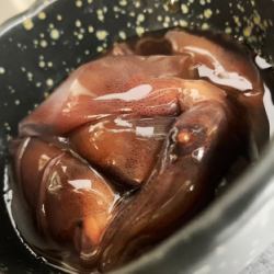 Pickled squid of hotflies