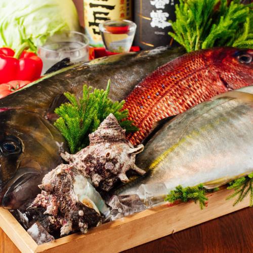 제철 생선을 즐길 수 있습니다! 지금 점심 영업 만.생선회 정식이나 생선 조림 정식, 해물 덮밥 정식으로 즐길 수 있습니다!
