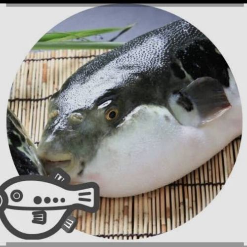 弥幸自慢の2大料理”沼島の鱧”と”三年とらふぐ”