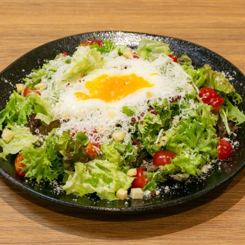 Caesar salad plenty of cheese