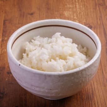 ごはん中