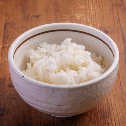 ごはん中