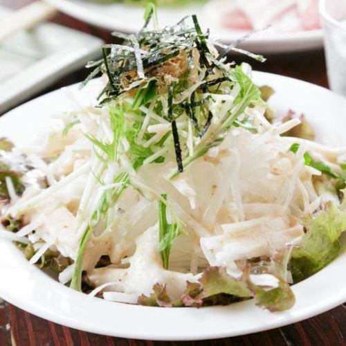 Radish and mizuna salad
