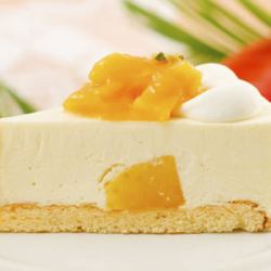 Mango rare cheese cake