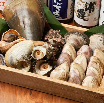 多彩な貝を楽しめます♪