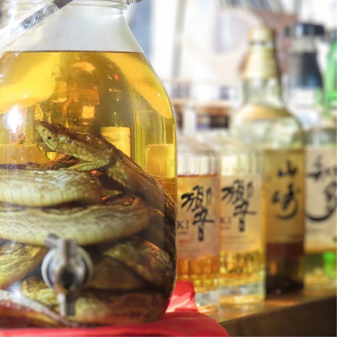 【熱鬧暢飲】來自47個都道府縣的50多種酒，種類豐富