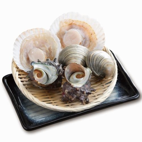 Shellfish grill set (regular size) 1 scallop/1 live turban shell/1 live white clam (Honbi no shu shell)