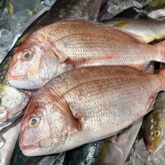 【県庁食堂海鮮丼バイキング】海鮮を乗っけ放題！コスパ最強！時間無制限！3300円→2800円(男性)