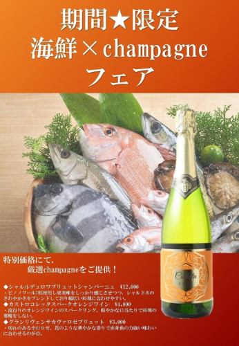 【期間限定】シャンパン☆