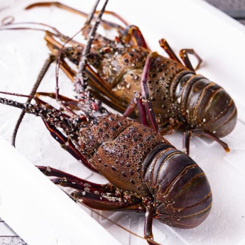 ◆季節や仕入れによって様々な料理が楽しめます