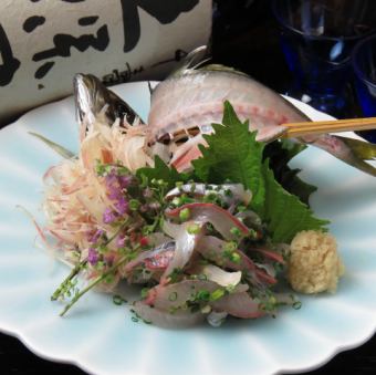Live horse mackerel ―― Japanese Horse Mackerel ―― Beating bamboo pod fish ――