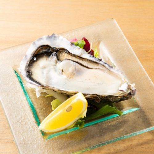 Special raw oysters