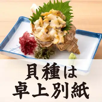 本日入荷 貝単品