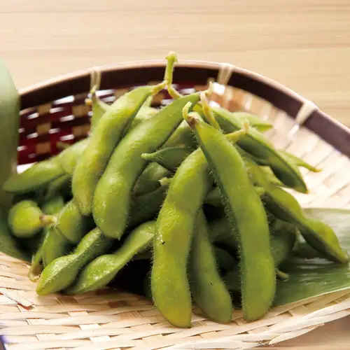 【産直】生もぎ枝豆　＜茹で 又は 焼き＞