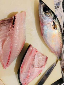 今朝も🐟新鮮🐠
市場