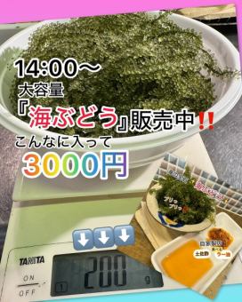 14時から店頭にて、『海ぶどう』を販売しております！