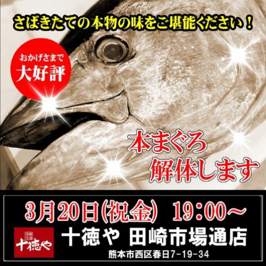 迫力満点！3/20(金)19:00～スタート・まぐろ解体ショー！