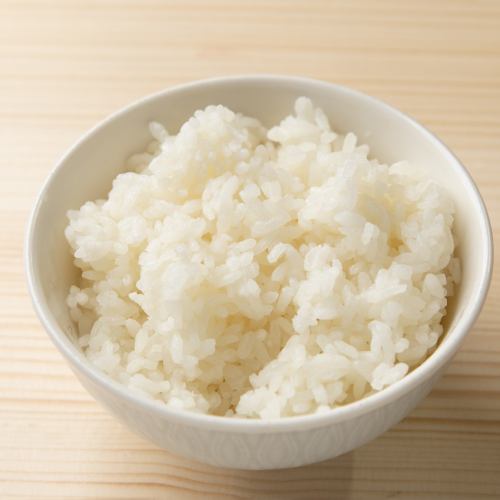 米飯（平均）