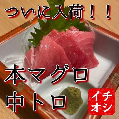 本マグロ中トロ切り落とし