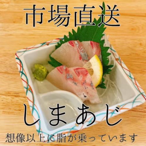 シマアジ