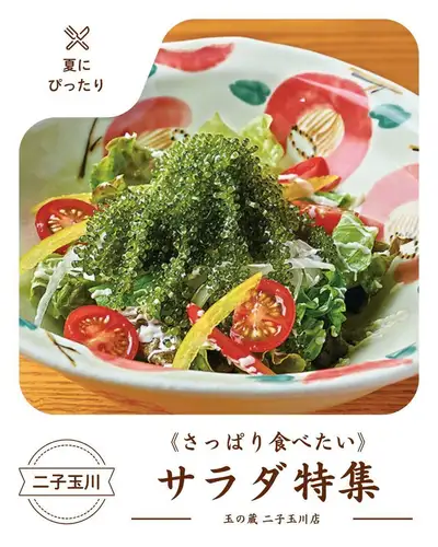 《さっぱり食べたいサラダ特集🍅》
夏の夜に、さっぱりとしたものが食べたくなったら。

今回は、玉の蔵のサラダメニューから
暑い夏にぴったりな2品をご紹介します。
最初の一皿にもぴったりです。

【1】大根とじゃこの梅サラダ
大根のしゃきしゃき食感とじゃこの旨みが絶妙に絡み合う、
さっぱりヘルシーなサラダ。
爽やかな梅ドレッシングが、
じめじめとした夏の気候を吹き飛ばしてくれます。

【2】海ぶどうのサラダ
沖縄名物の海ぶどうを使ったサラダ。
口の中ではじけるぷちぷちの食感がクセになる、
見た目も鮮やかな一品です。
さっぱりとした味わいで、おつまみとしても優秀です。

二子玉川の日本酒居酒屋・玉の蔵で、
今夜はさっぱりと、でも満足感たっぷりの夜を。

────────────────────────────────
📍 東京都世田谷区玉川3-13-8｜二子玉川駅 徒歩3分
🕐 平日 17:00〜23:30 ／ 土日祝 13:00〜23:00
☎︎ 03-6411-7630
🔗 ご予約・詳細はプロフィールリンクから
────────────────────────────────

#玉の蔵 #二子玉川居酒屋 #二子玉川グルメ #二子玉川ディナー #二子玉川
#世田谷居酒屋 #世田谷グルメ #世田谷ディナー #東京居酒屋 #東京グルメ
#日本酒居酒屋 #日本酒バル #日本酒好きな人と繋がりたい #日本酒に合う
#サラダ #海ぶどう #梅サラダ #夏グルメ #さっぱり #ヘルシーごはん
#居酒屋メシ #酒の肴 #大人の居酒屋 #昼飲み #居酒屋巡り
