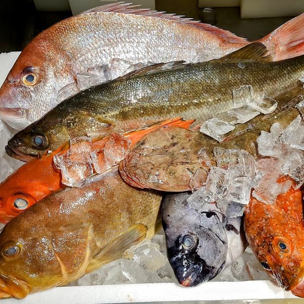 市場直送の鮮魚メニューが充実！