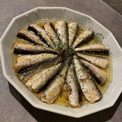 Oil sardine