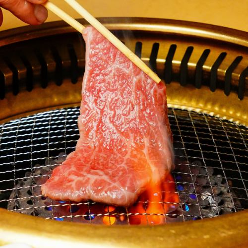 검은 털 일본소를 사치스럽게 만끽!