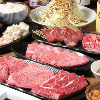 僅提供標準牛肉！宴會套餐<內含2小時暢飲（70種飲品，含生啤酒）>
