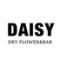 DAISY cafe&bar