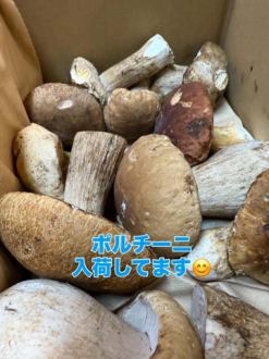 9月に入り。。少し暑